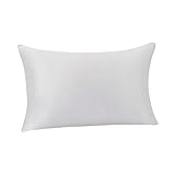 Amazon Basics - Funda de almohada de seda de morera 100 %, ideal para el cabello y la piel, cierre de cremallera, doble cara, 19 momme, gris claro, 50 x 75 cm, 1 unidad
